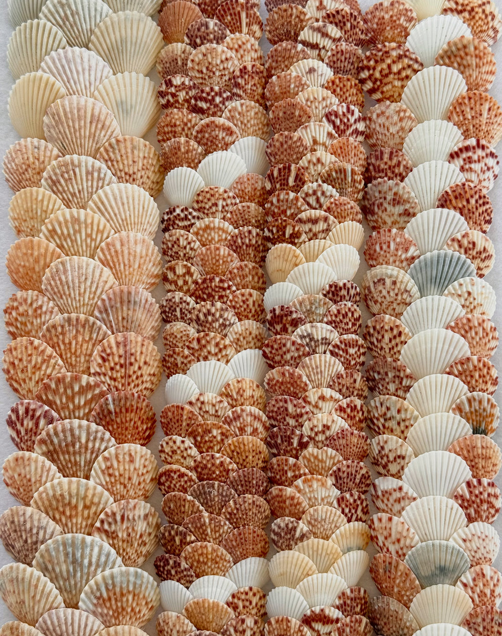 Lei ʻŌlepe Humupapa