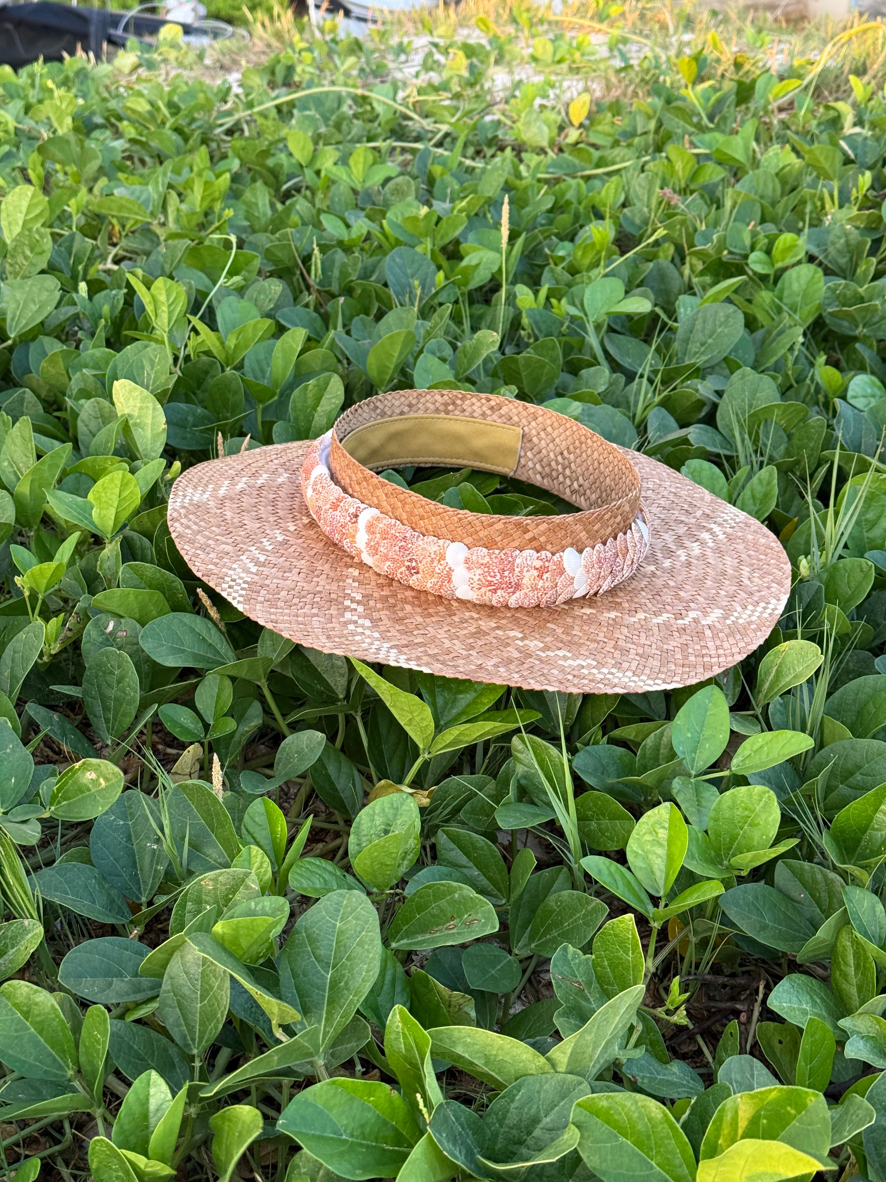 Lei ʻŌlepe Humupapa