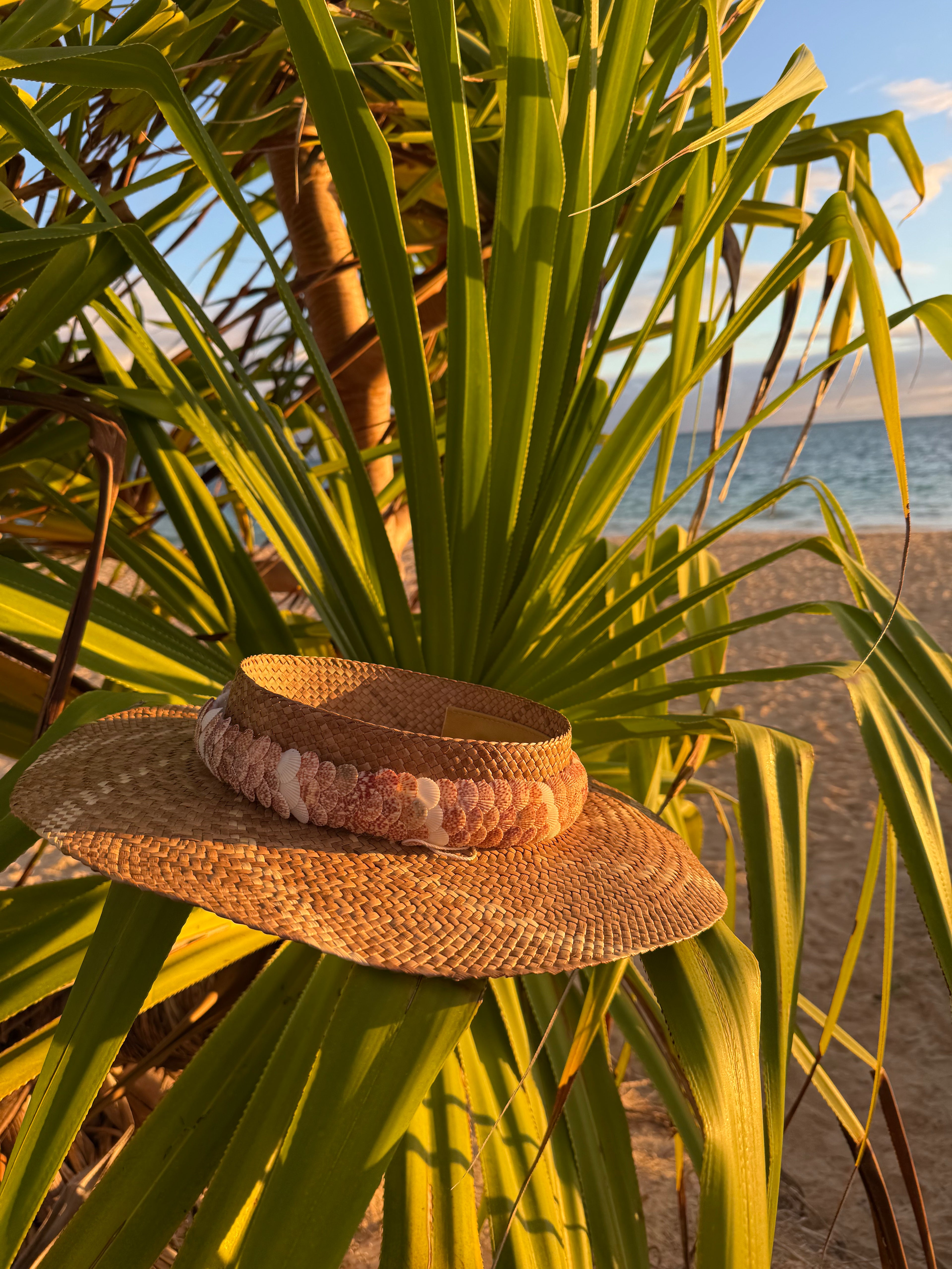 Lei ʻŌlepe Humupapa